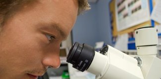 maturalni_kurs maturalny biologia (5).jpg